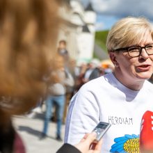 Keli šimtai žmonių Vilniuje susirinko pareikšti, kad visos šeimos svarbios