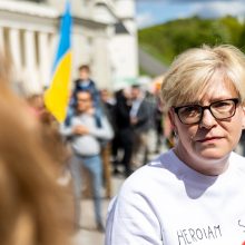 Keli šimtai žmonių Vilniuje susirinko pareikšti, kad visos šeimos svarbios