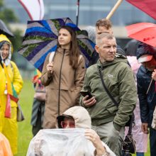 Šeimų sąjūdžio mitinge – ir Seimo nariai: protestuotojai piktinosi valdžios sprendimais