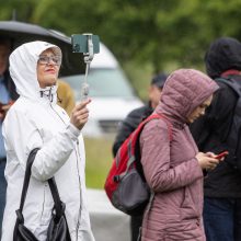 V. Čmilytė-Nielsen apie Šeimų sąjūdžio mitingą: tai – neskaitlingos visuomenės grupės nuomonė