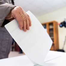 Kėdainiuose ir Raseiniuose vykstančiuose Seimo nario rinkimuose balsavo 6,73 proc. rinkėjų