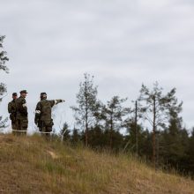 Seimo pirmininkė: parlamentų lyderiai sutaria dėl paramos Ukrainos narystei NATO