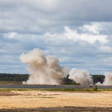 Seimo pirmininkė: parlamentų lyderiai sutaria dėl paramos Ukrainos narystei NATO