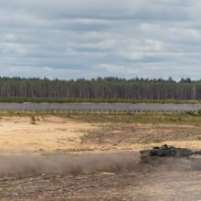 Seimo pirmininkė: parlamentų lyderiai sutaria dėl paramos Ukrainos narystei NATO