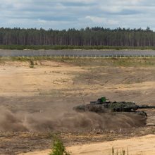 Seimo pirmininkė: parlamentų lyderiai sutaria dėl paramos Ukrainos narystei NATO