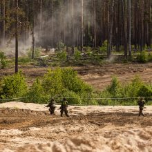 Seimo pirmininkė: parlamentų lyderiai sutaria dėl paramos Ukrainos narystei NATO