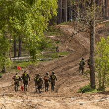 Seimo pirmininkė: parlamentų lyderiai sutaria dėl paramos Ukrainos narystei NATO