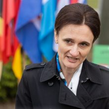 Seimo pirmininkė: parlamentų lyderiai sutaria dėl paramos Ukrainos narystei NATO