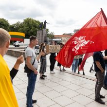 Celofanas ir jo sekėjai pyktį nukreipė į LGBTIQ eitynes: „Pyd****, eikit na****“