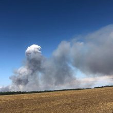 Į Kauno rajoną lėkė gausios ugniagesių pajėgos: degė 200 hektarų javų laukas