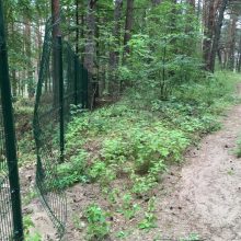 Vandalai suniokojo naują Petrašiūnų kapinių tvorą