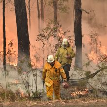 Lietuvė papasakojo apie siaubą Australijoje: širdį veria apokaliptiniai vaizdai