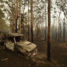 Lietuvė papasakojo apie siaubą Australijoje: širdį veria apokaliptiniai vaizdai