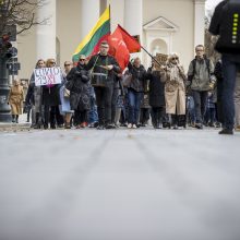 Skandalingoji mokytoja ragino organizuoti karinį perversmą ir versti valdžią: įsikišo prokuratūra 