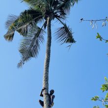 Aistra keliauti mokytoją nuvedė į Zanzibarą: tai neįkainojama patirtis!