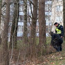 Mįslingai pagrobto vaiko paieškos – sudėtingos: policijai trūksta duomenų