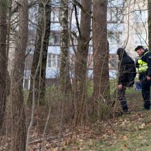 Mįslingai pagrobto vaiko paieškos – sudėtingos: policijai trūksta duomenų