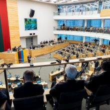 Naujausi partijų reitingai: kaip pasiskirstę gyventojų simpatijos?