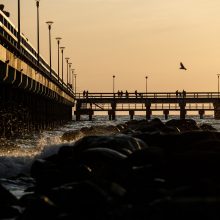 Naktį nuo Palangos tilto į jūrą įkrito žmogus: paieškos kol kas – bevaisės