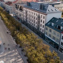 Architectural prestige evaluation for the reconstruction of Laisvės Alley