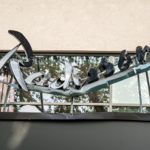 Virtęs medis pridarė daug žalos ir įsiutino gyventojus: ne pirmas kartas