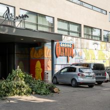 Virtęs medis pridarė daug žalos ir įsiutino gyventojus: ne pirmas kartas