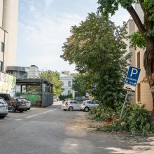 Virtęs medis pridarė daug žalos ir įsiutino gyventojus: ne pirmas kartas