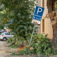 Virtęs medis pridarė daug žalos ir įsiutino gyventojus: ne pirmas kartas