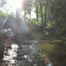 Gyvenimas saloje, kur ir sutemos – šviesios