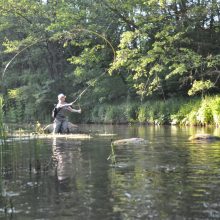 Gyvenimas saloje, kur ir sutemos – šviesios