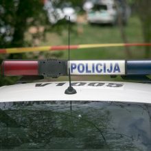 Siaubas Alytuje: pievoje rasta mirtinai sumušta moteris