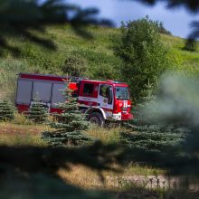 Karščio keliamos problemos nesibaigia: Lapių sąvartyne kilo gaisras