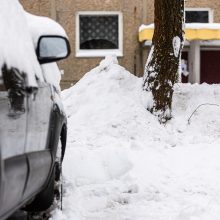 Pranešė, kokių orų tikėtis artimiausiomis dienomis: pūga nesitrauks