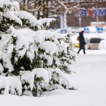 Pranešė, kokių orų tikėtis artimiausiomis dienomis: pūga nesitrauks