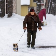 Kelininkai atkerta kritikams: esant tokioms sąlygoms įprasti kelių valymo terminai negalioja