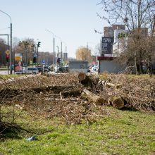 Ištiko šokas: V. Krėvės prospekte iškirto visą eilę medžių