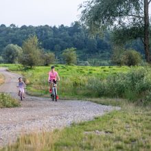 Vaizdingame gamtos kampelyje – pažeidėjai: jau nubausta per 100 vairuotojų