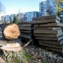 Įžūlu: Kaune medžius išpjovė be leidimų – gresia tūkstantinė bauda