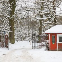 Ąžuolyno pašonėje – beveik 2 tūkst. vietų stovėjimo aikštelė