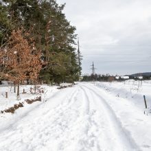 Už ES lėšas sutvarkytas privatus parkas Kauno rajone – atviras?