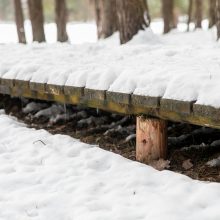 Už ES lėšas sutvarkytas privatus parkas Kauno rajone – atviras?