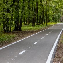 Dviračių takas Ąžuolyne: vieniems primena automagistralę, kitiems – pakilimo taką 