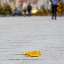 Vilniaus gatvė puošiama, bet darbų pabaigos teks palaukti