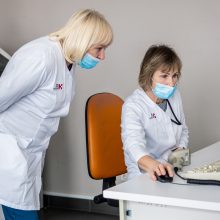 Laboratorinių tyrimų – ir du gruodžio šeštadienius