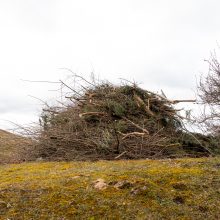 Jau matyti Kauno pietrytinio aplinkkelio kontūrai: kokie darbai vyksta?