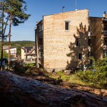 Įžūlumas Karmėlavoje: kad įvažiuotų į sklypą, iškirto parko pušis