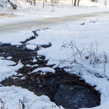 Piktinasi: porą savaičių bėga nuotekos, kelias virto čiuožykla