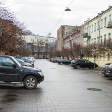 Vairuotojų įžūlumui nėra ribų: laužo jaunus medelius