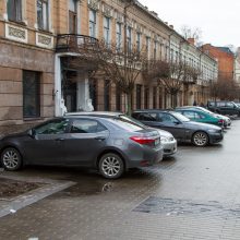 Vairuotojų įžūlumui nėra ribų: laužo jaunus medelius