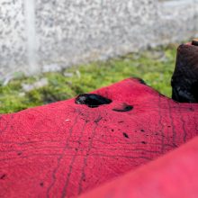 Žaidimai su mirtimi: užsitęsusią Velykų užstalę nutraukė ugniagesiai 
